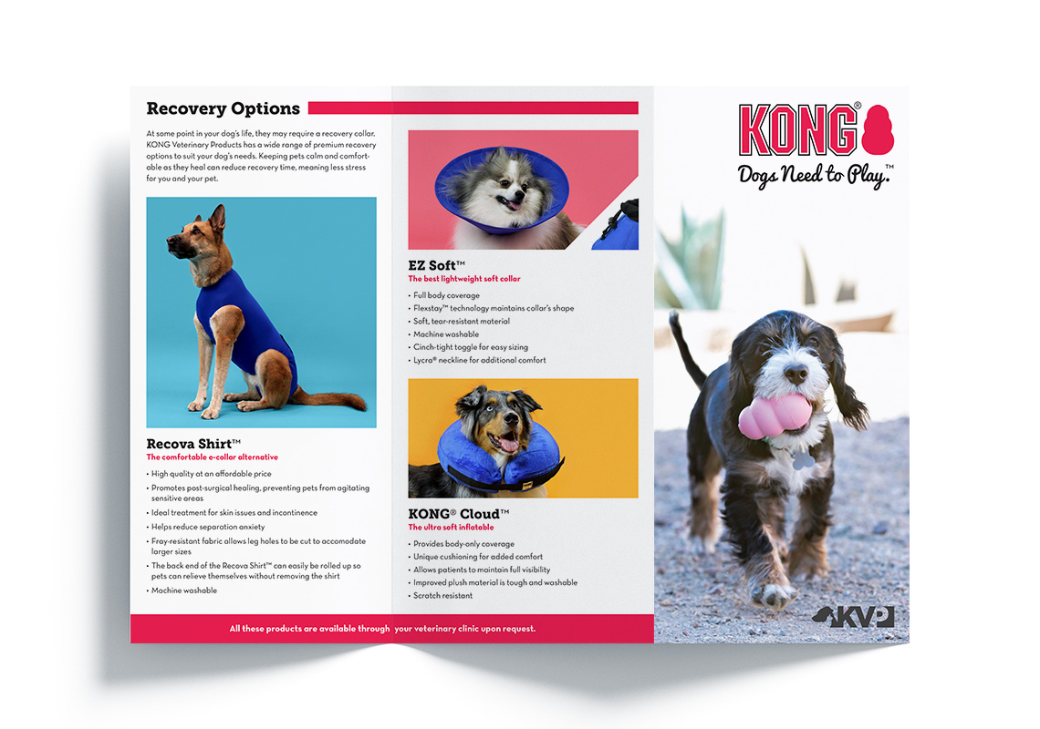 The brochure laid open with the outer side, including the cover, visible.